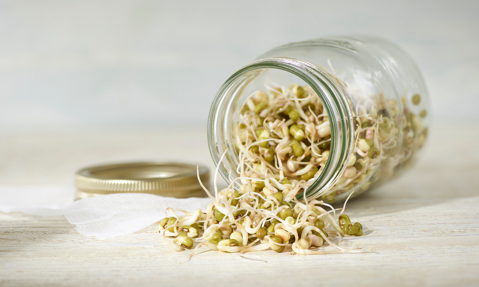 3 Easy Steps to Grow Sprouts in a Mason Jar