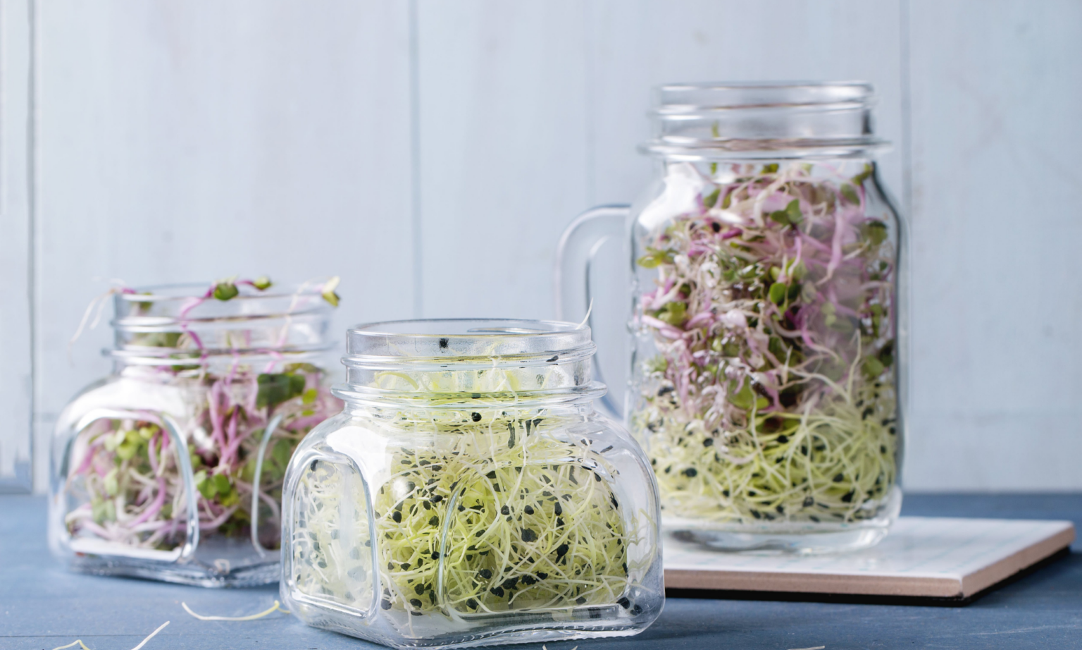 3 Easy Steps to Grow Sprouts in a Mason Jar - Fig & Spruce