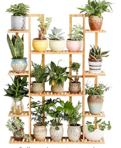 The Best Plant Stands for Tiny Spaces