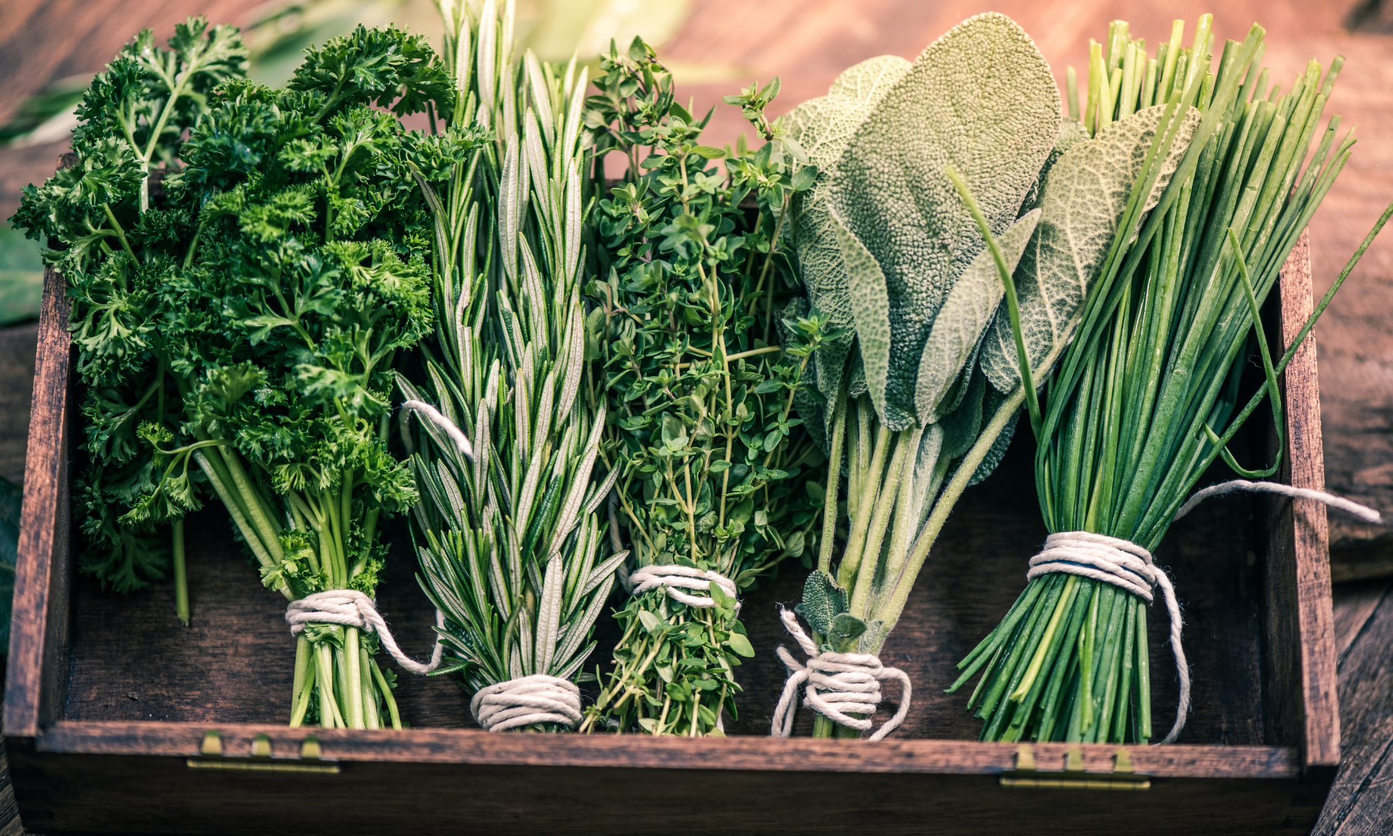 How to Start an Herb Garden on Your Balcony