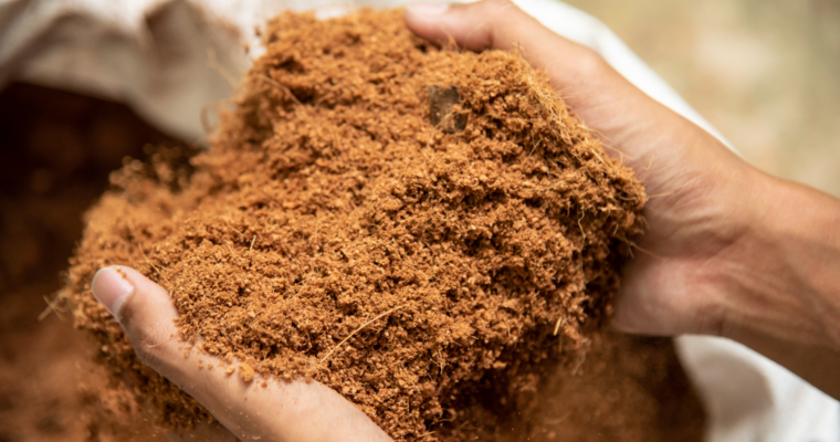 What is Coco Peat?