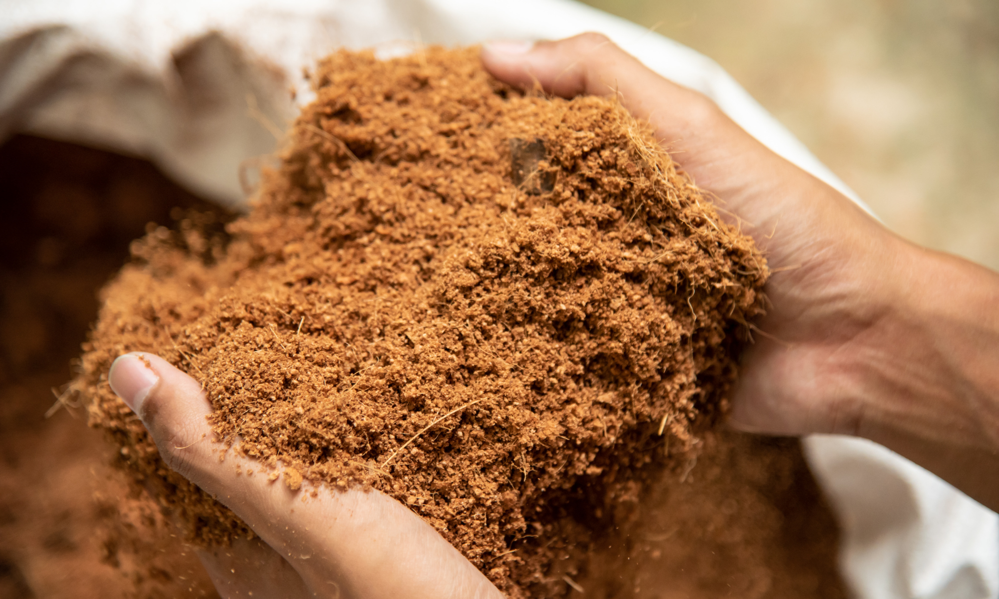 What is Coco Peat?