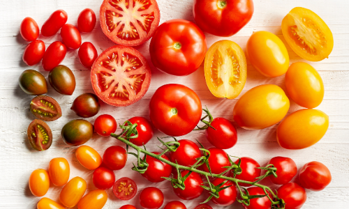 The Best Tomato Grow Bag Options