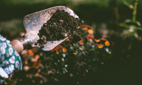 How to Test Your Garden Soil Acidity